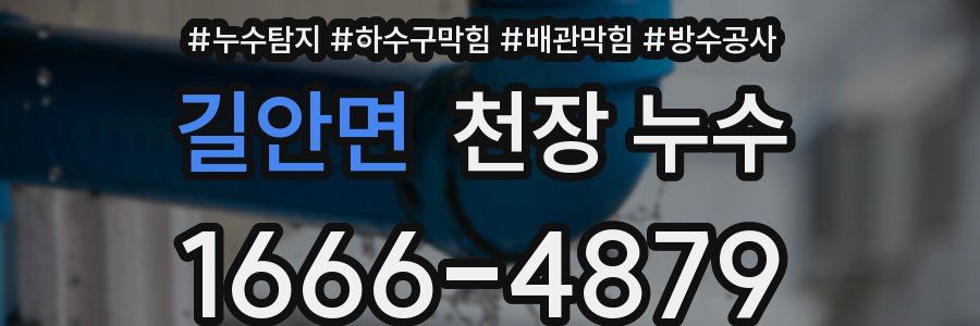 길안면 천장 누수
