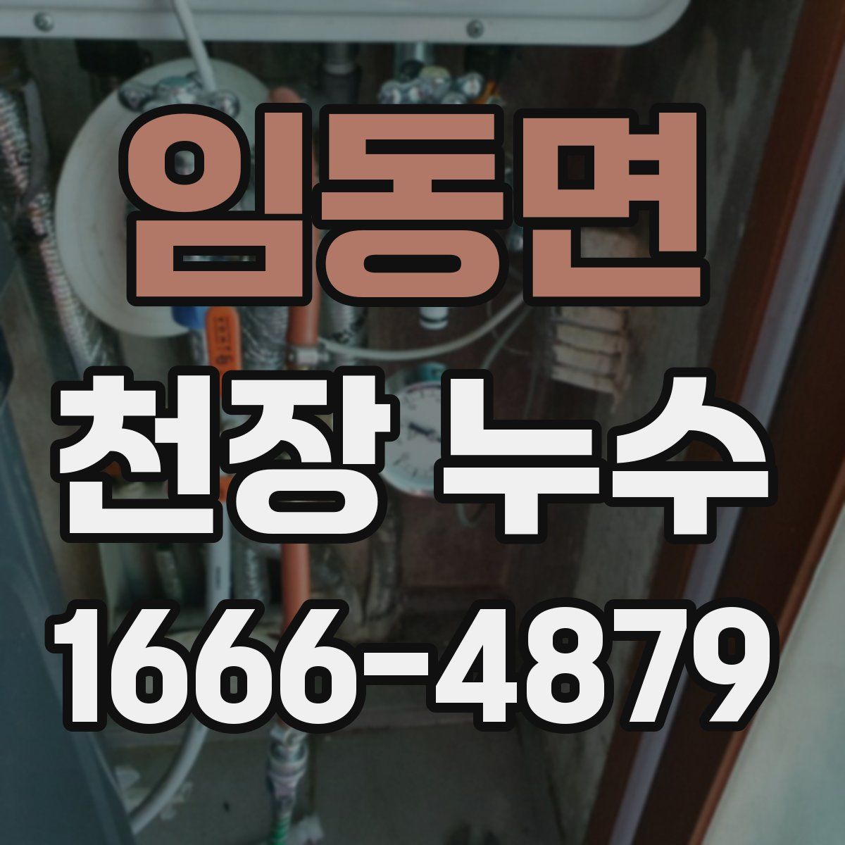 임동면 천장 누수