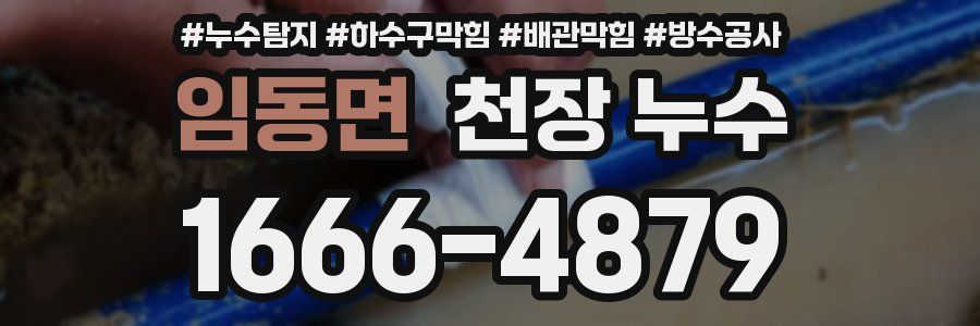 임동면 천장 누수