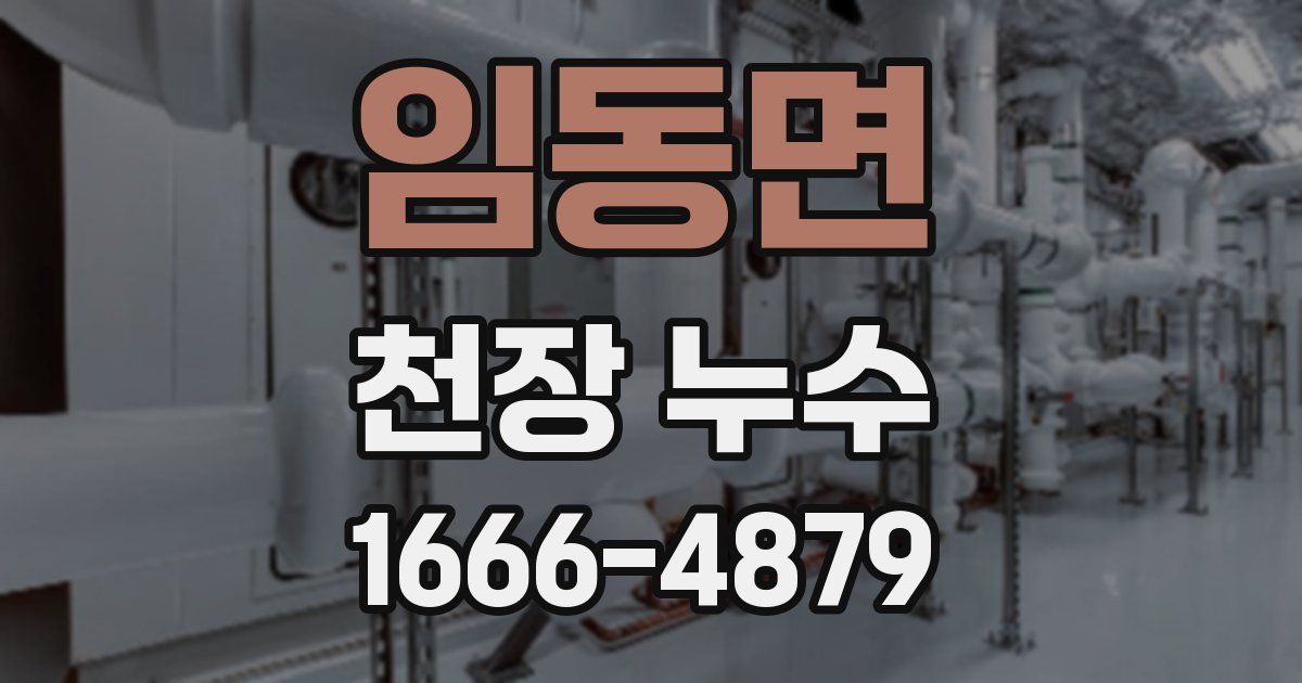 임동면 천장 누수