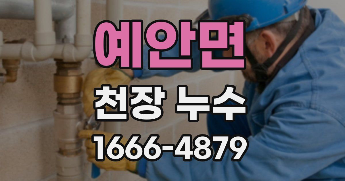 예안면 천장 누수