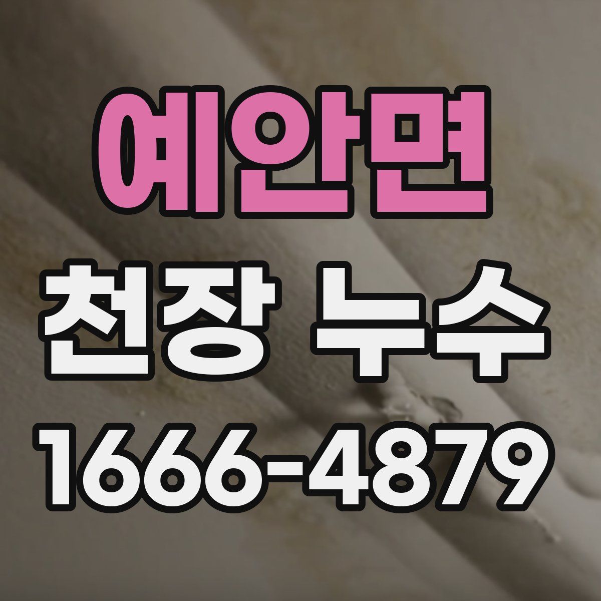 예안면 천장 누수