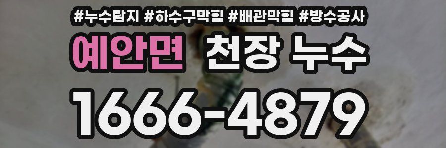 예안면 천장 누수