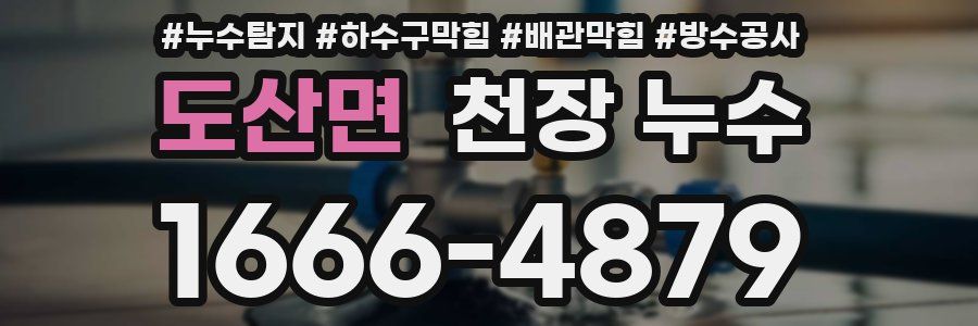도산면 천장 누수