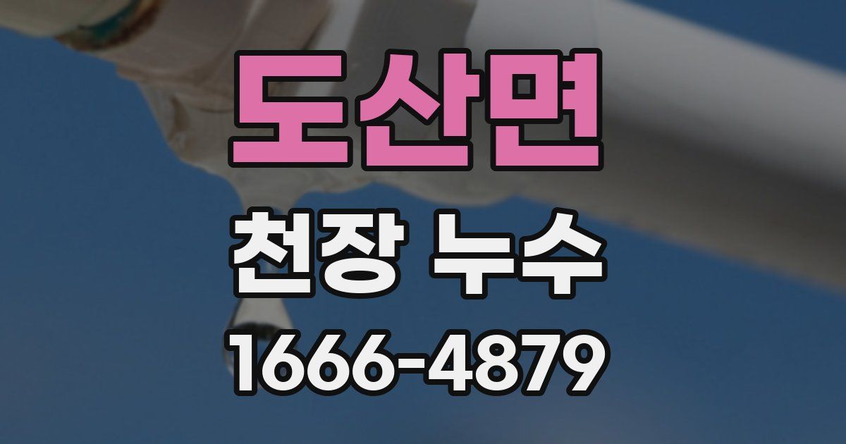 도산면 천장 누수