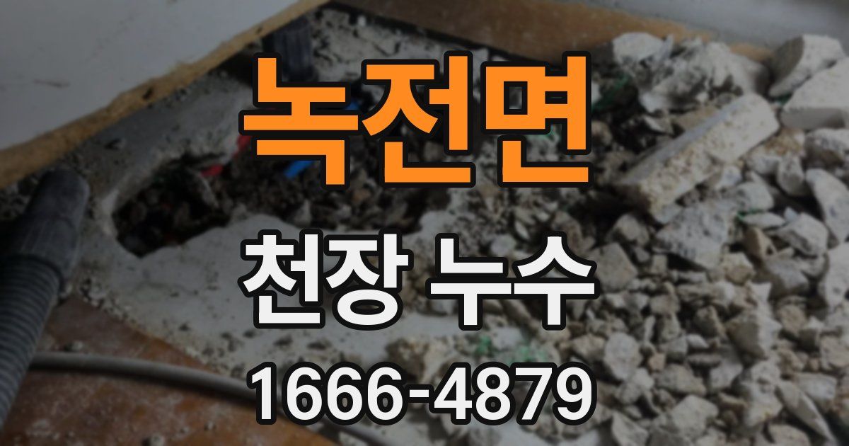 녹전면 천장 누수
