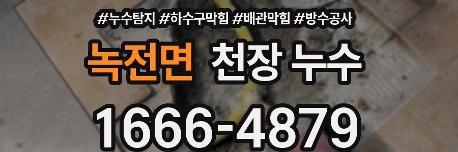 녹전면 천장 누수