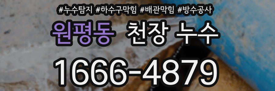 원평동 천장 누수