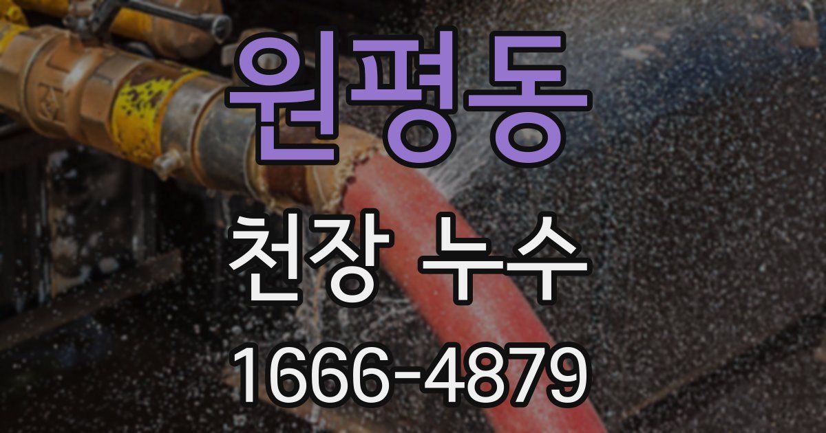 원평동 천장 누수