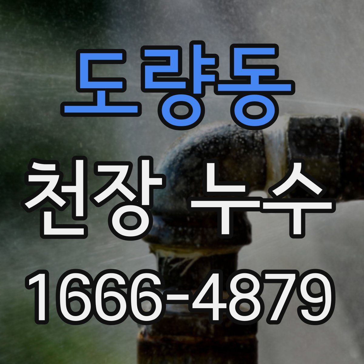 도량동 천장 누수