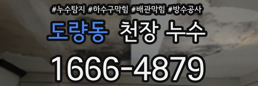 도량동 천장 누수