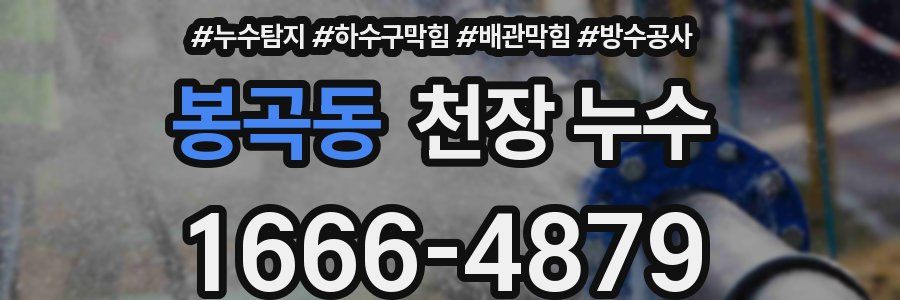 봉곡동 천장 누수