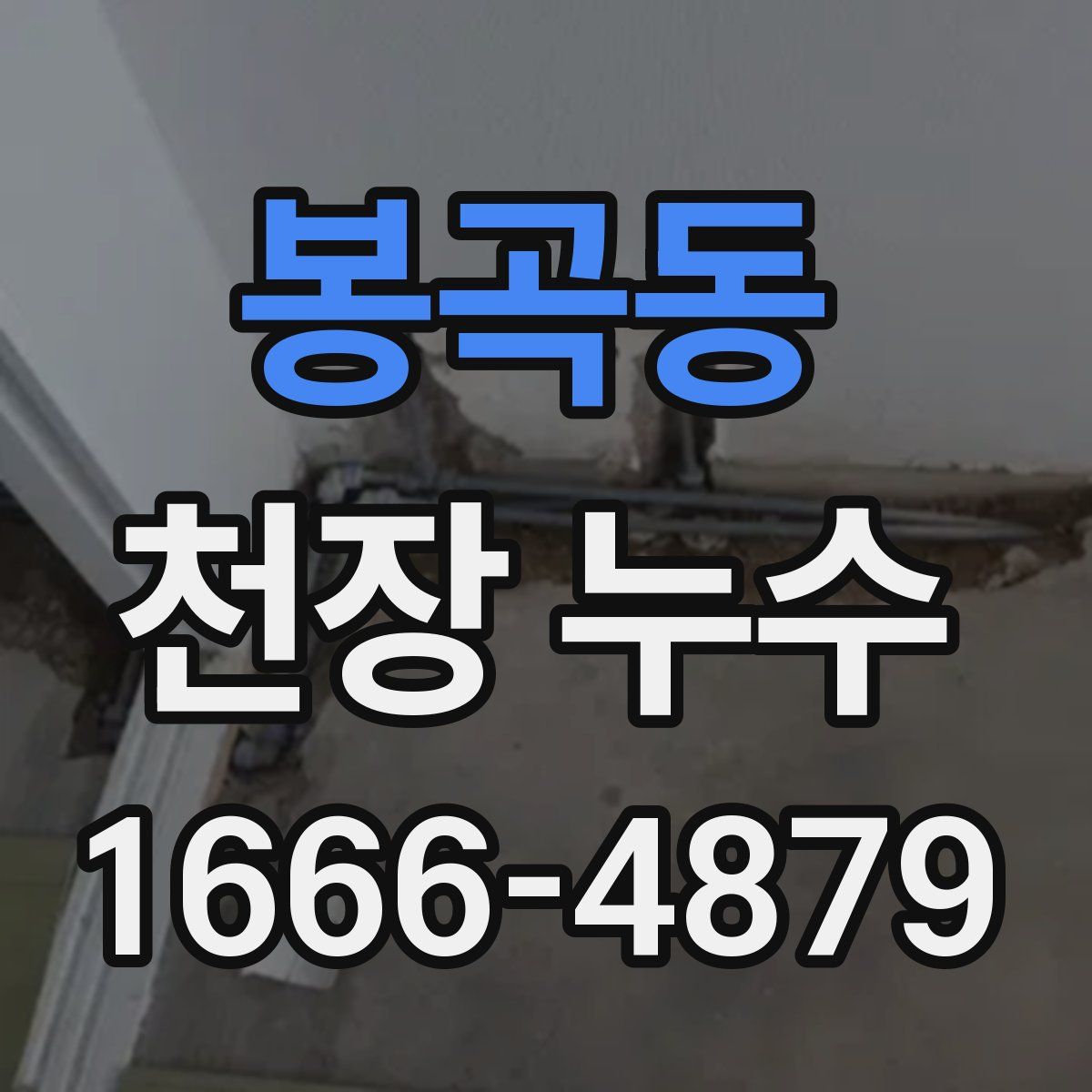 봉곡동 천장 누수