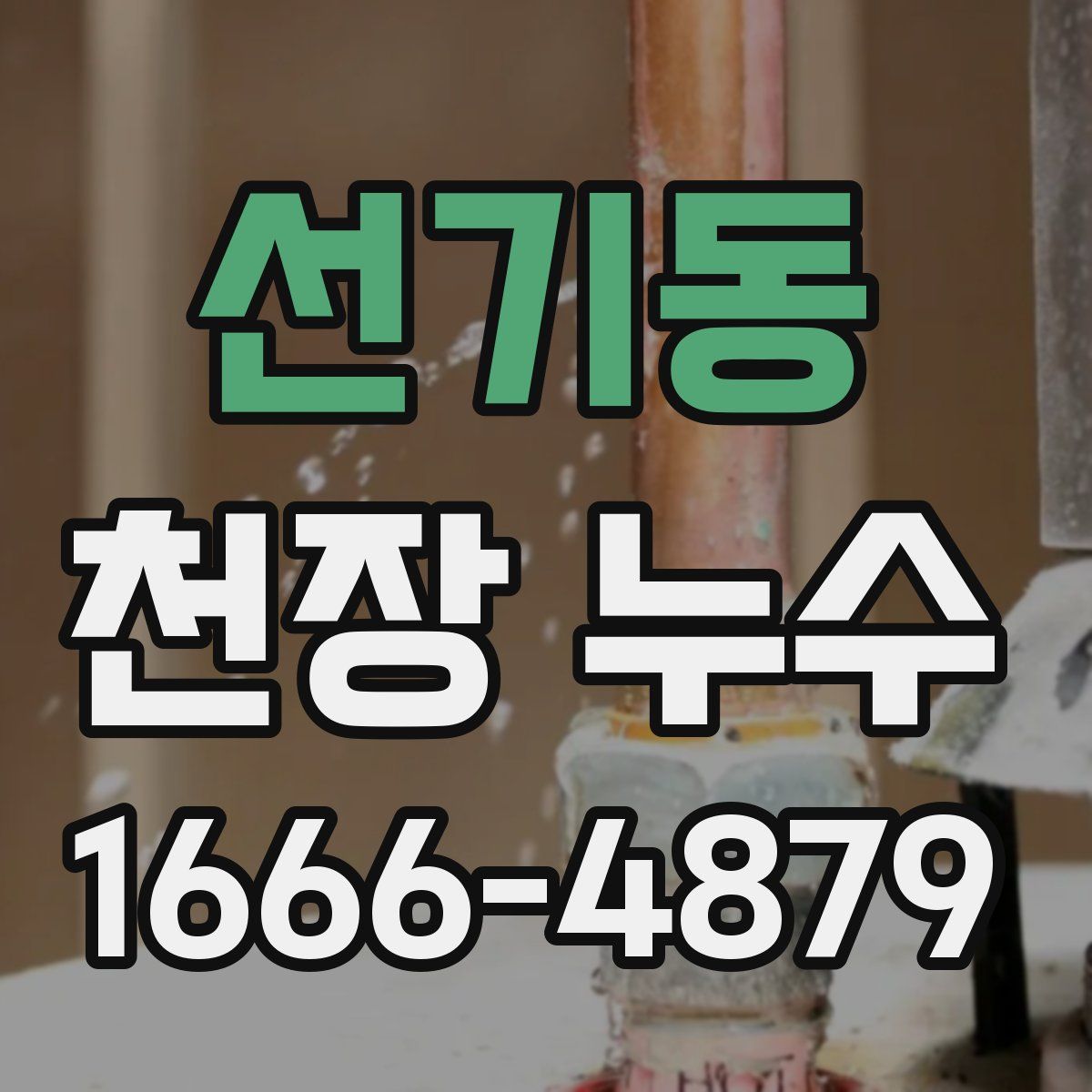 선기동 천장 누수