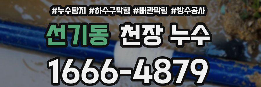 선기동 천장 누수