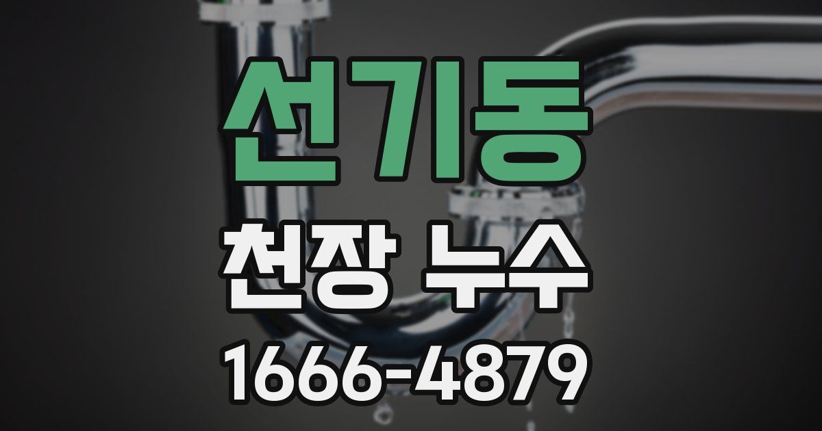 선기동 천장 누수