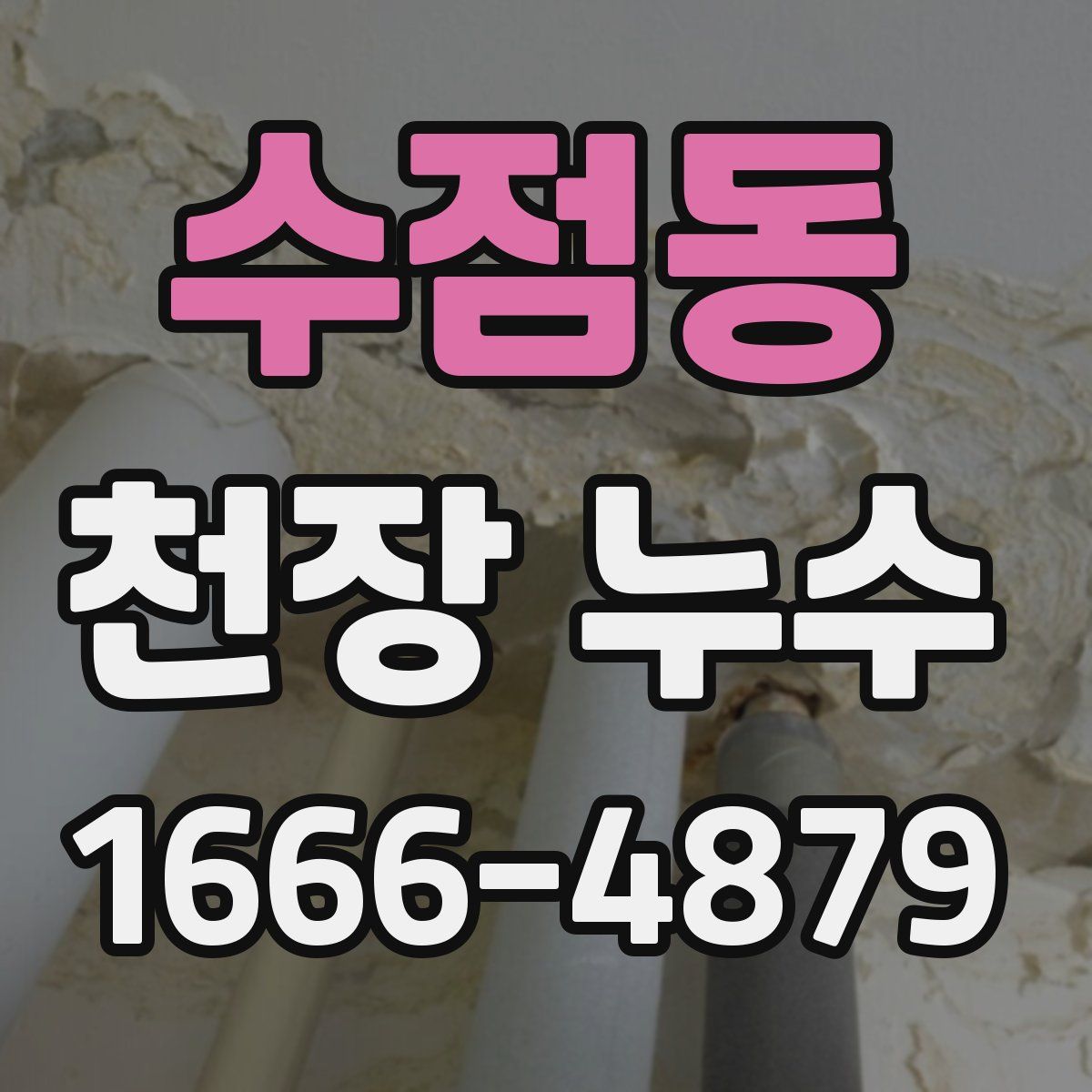 수점동 천장 누수