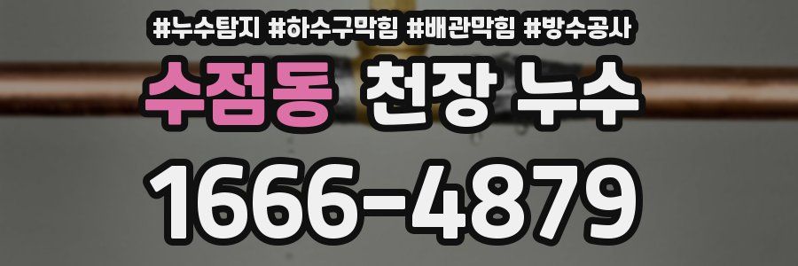 수점동 천장 누수