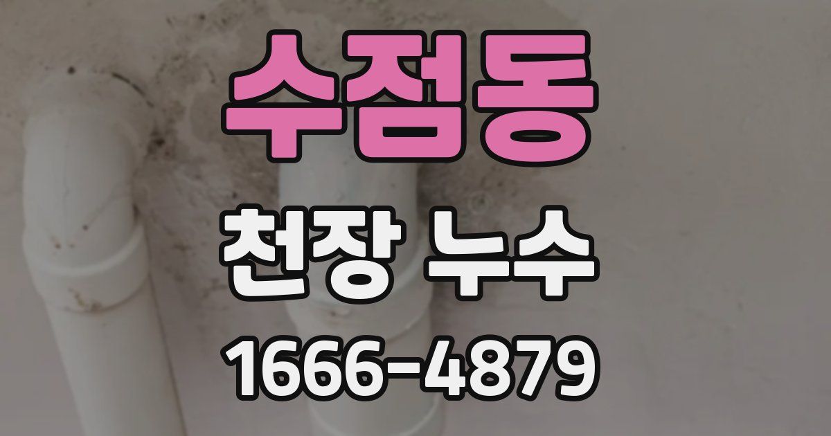 수점동 천장 누수