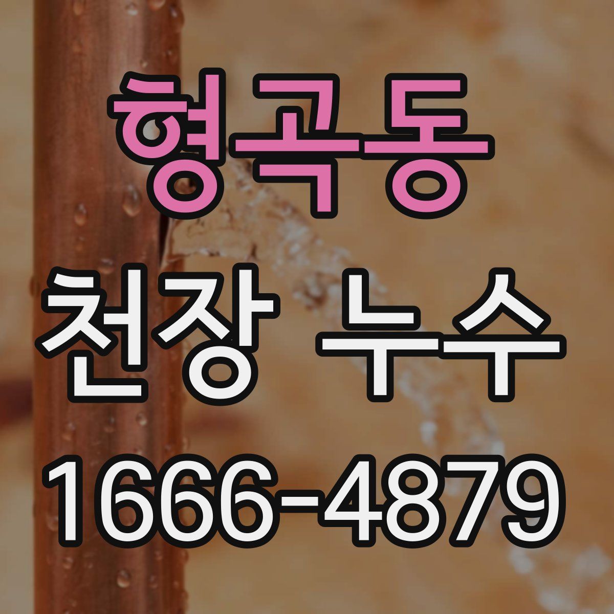 형곡동 천장 누수