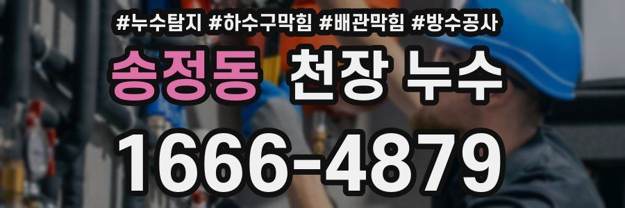 송정동 천장 누수