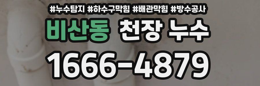 비산동 천장 누수