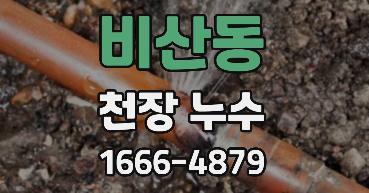 비산동 천장 누수