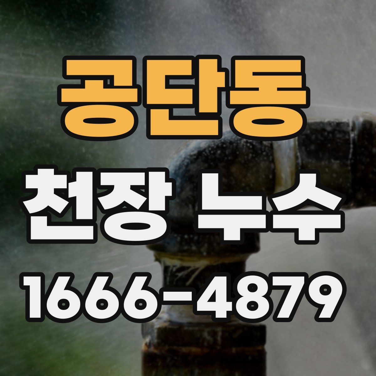 공단동 천장 누수