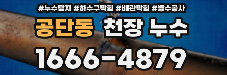 공단동 천장 누수