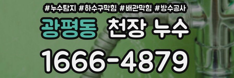 광평동 천장 누수
