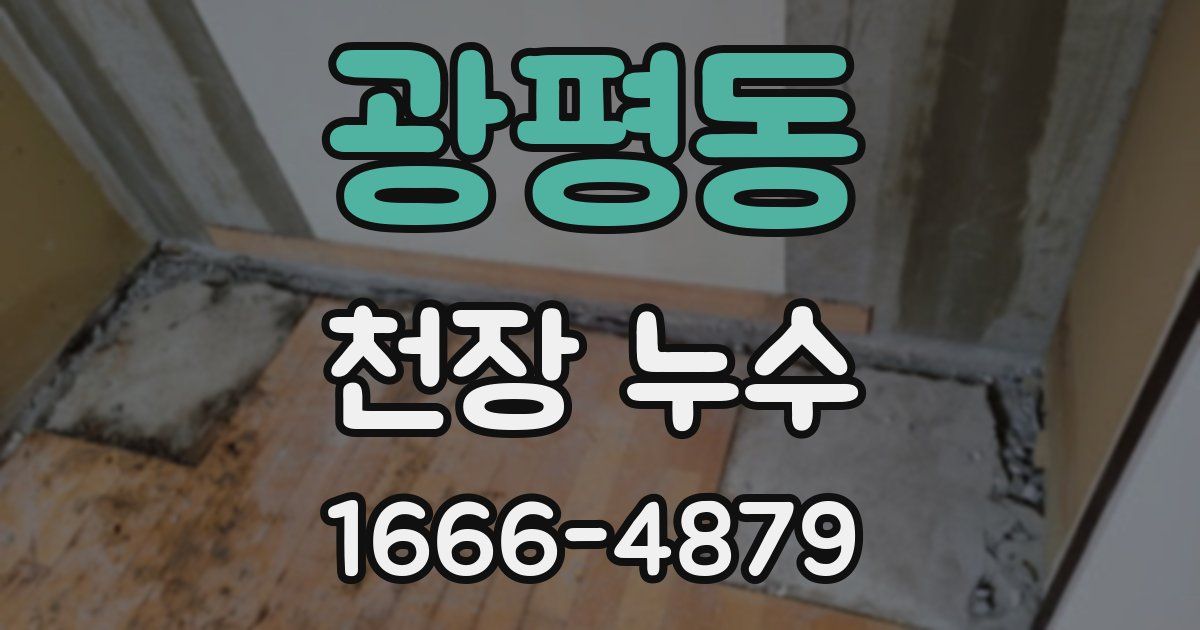 광평동 천장 누수