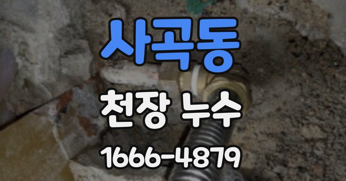 사곡동 천장 누수