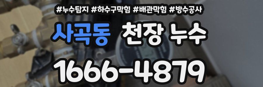 사곡동 천장 누수