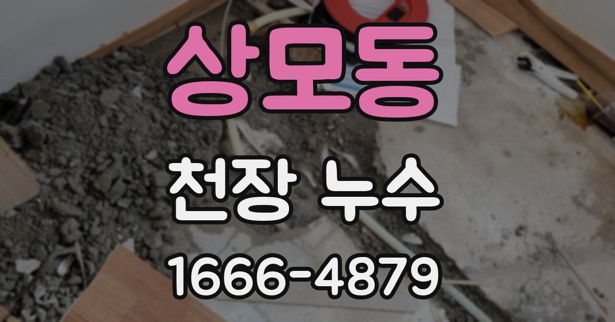 상모동 천장 누수