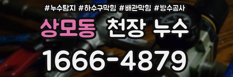 상모동 천장 누수