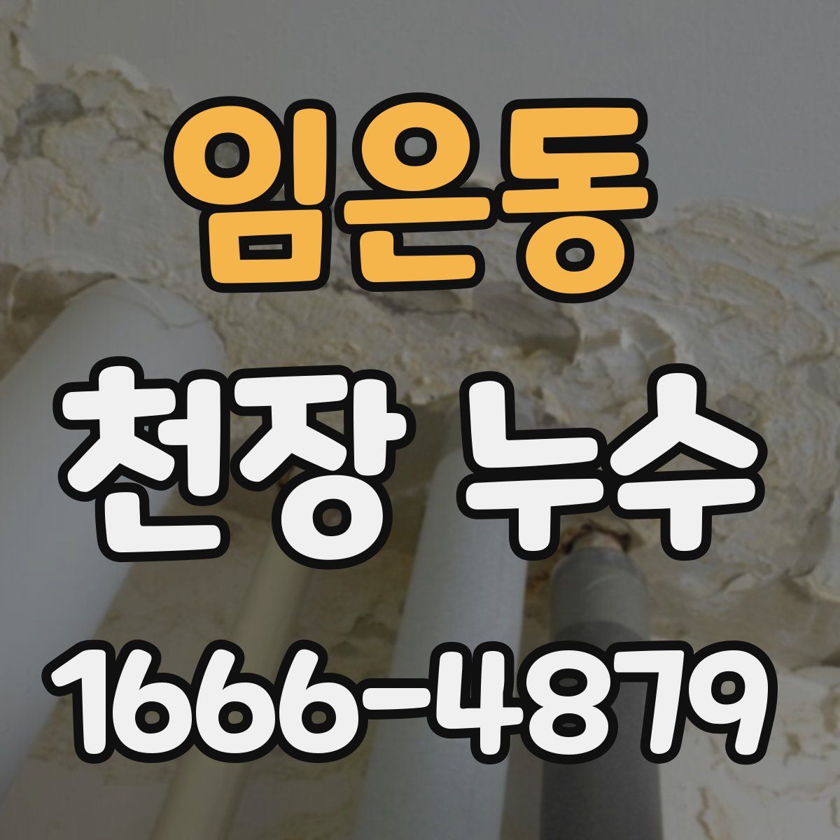 임은동 천장 누수