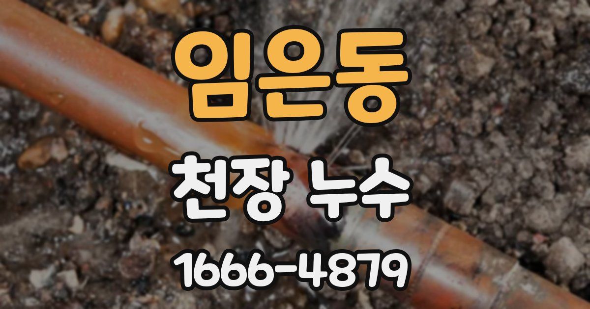 임은동 천장 누수