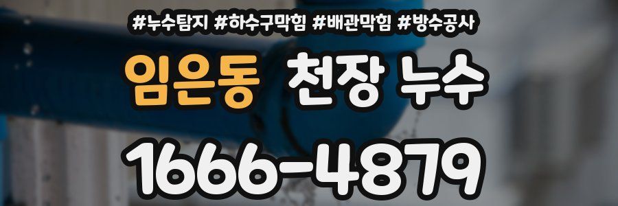임은동 천장 누수