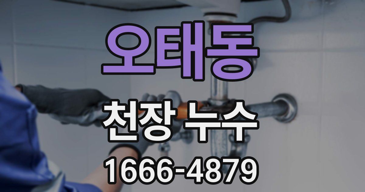 오태동 천장 누수