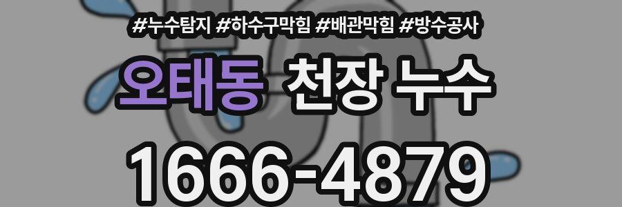 오태동 천장 누수