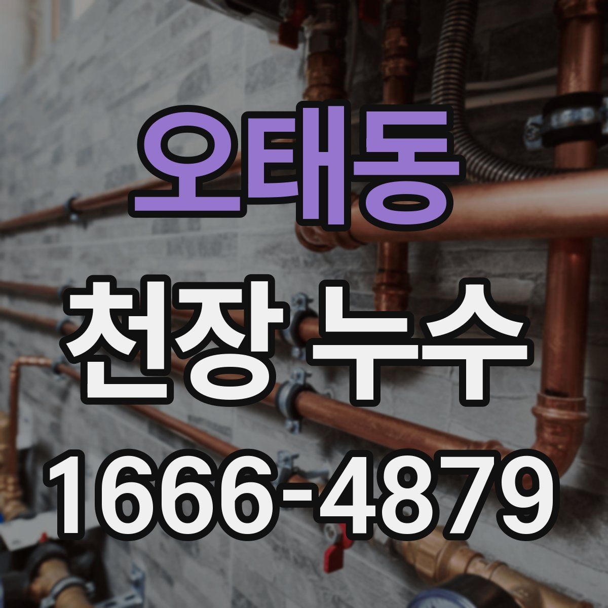 오태동 천장 누수