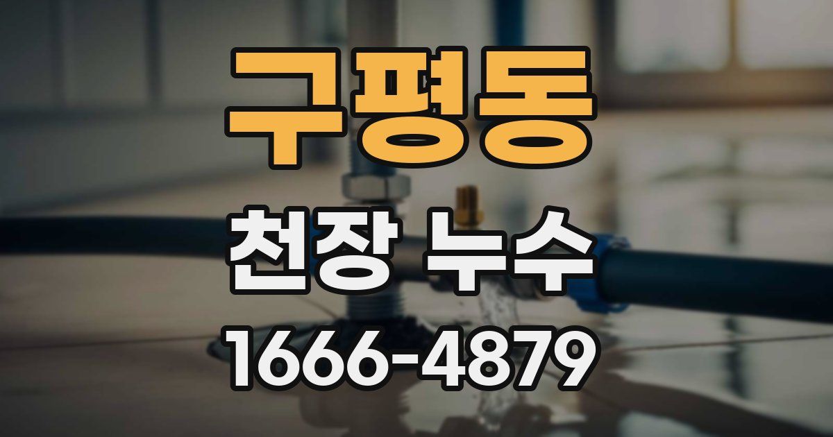 구평동 천장 누수