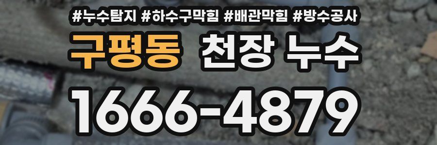 구평동 천장 누수