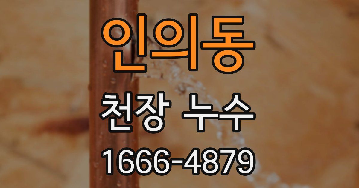 인의동 천장 누수
