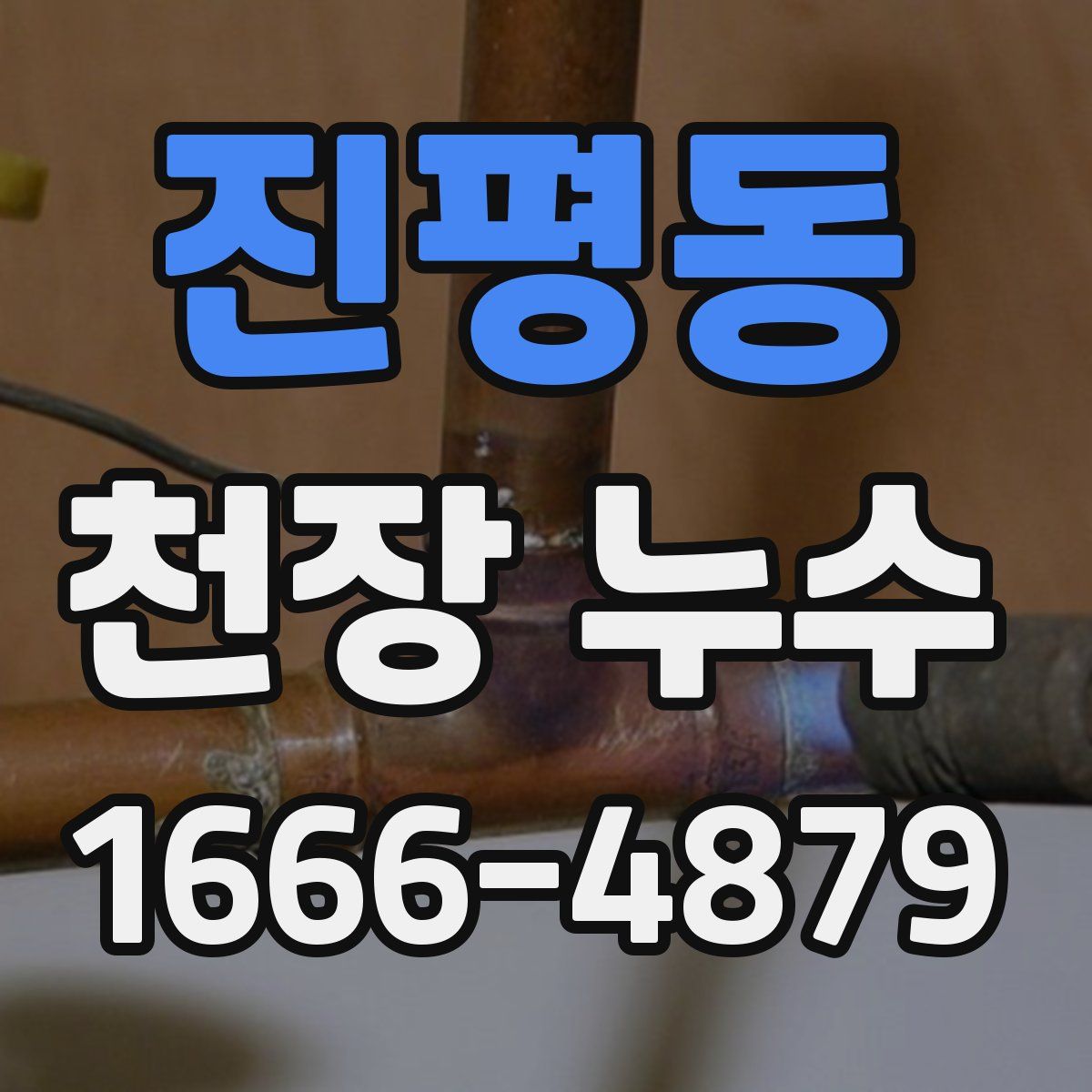 진평동 천장 누수