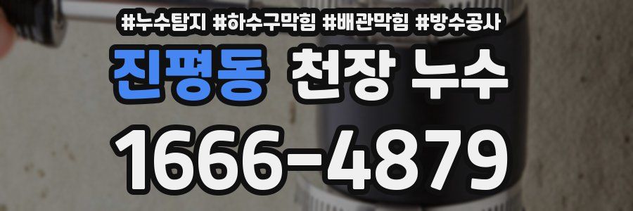 진평동 천장 누수