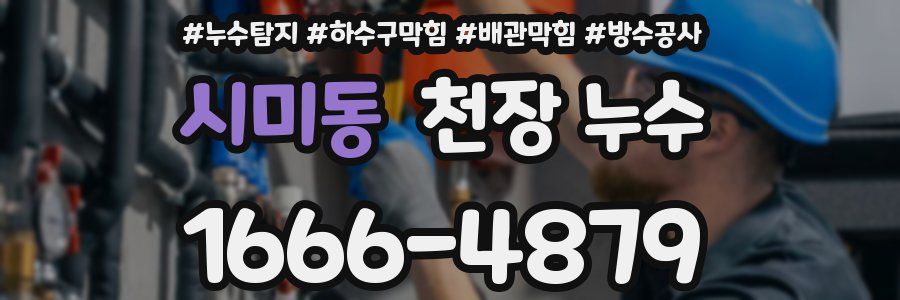 시미동 천장 누수