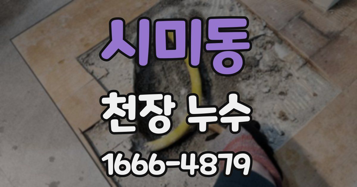 시미동 천장 누수