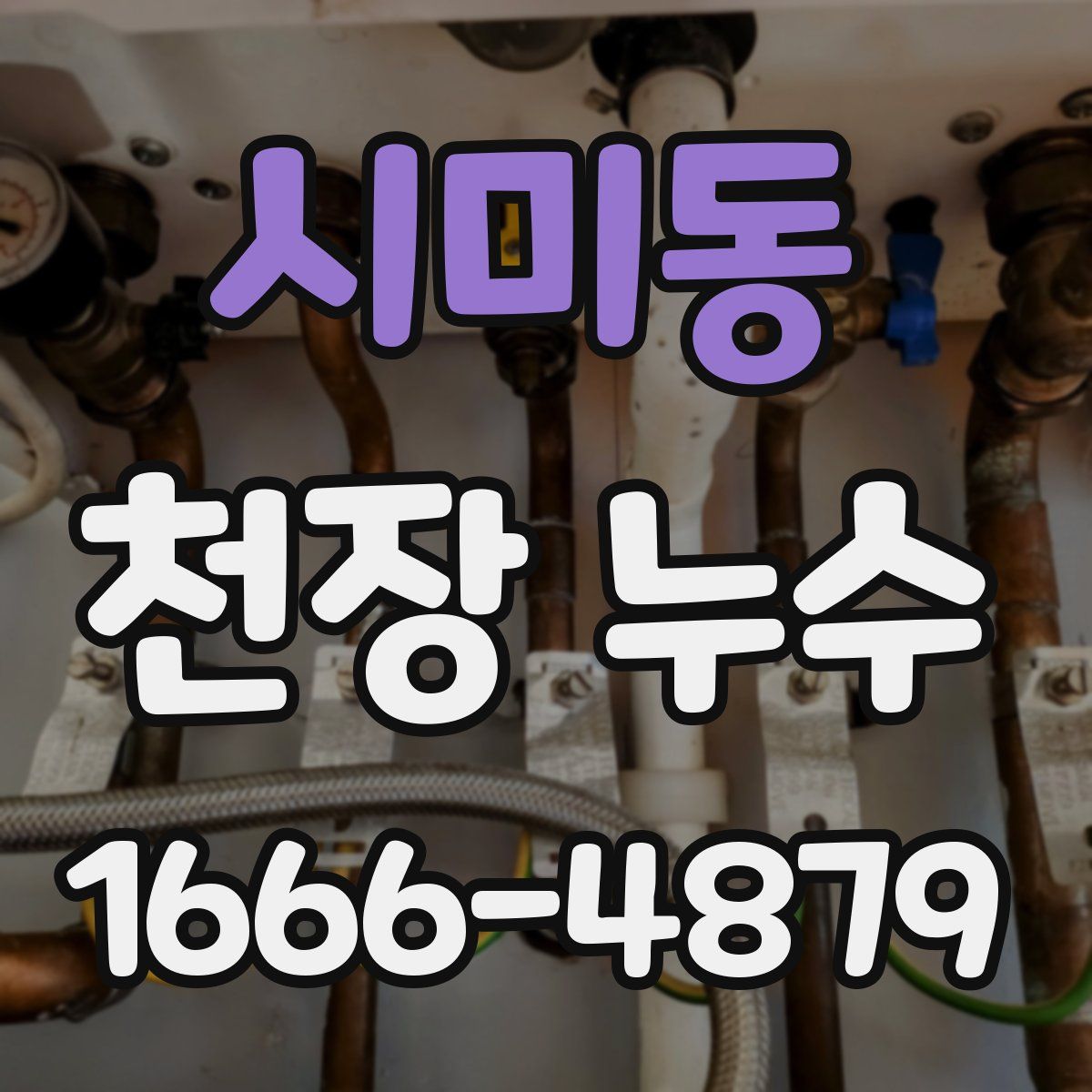 시미동 천장 누수