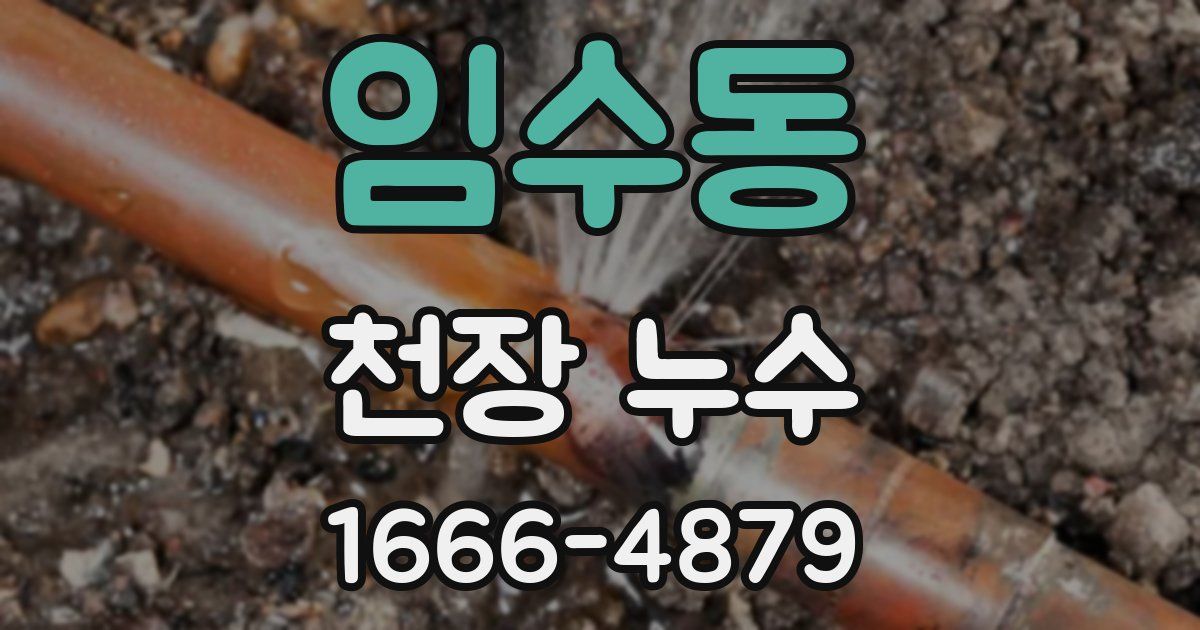 임수동 천장 누수